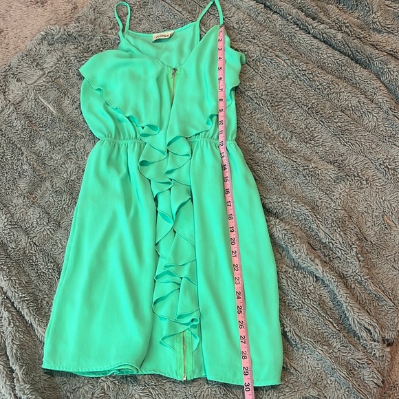 Green Ruffle Zipper Dress- by Moss - Picture 6 of 6